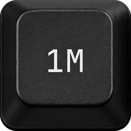1M