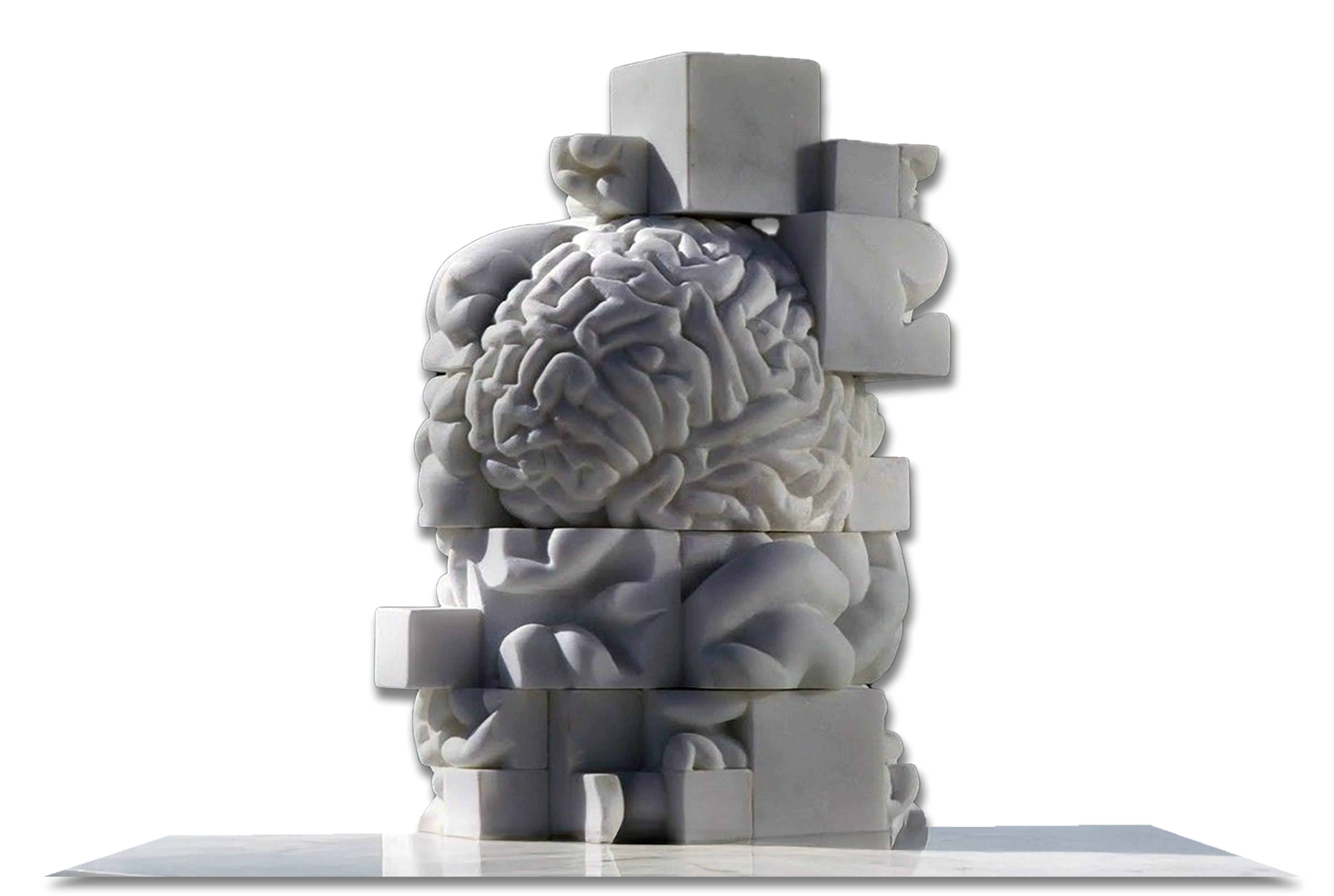 Marble brain